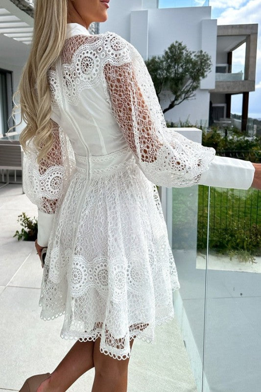 Vida Mini Dress